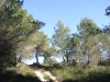 Scenery Felanitx Mallorca. 28